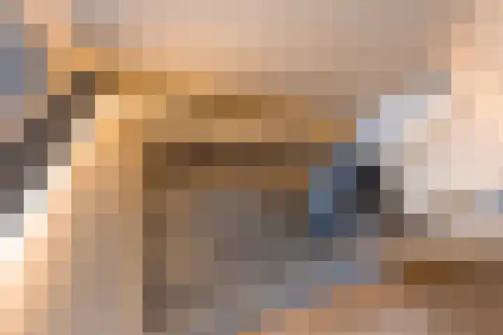 Vrijheidslaan 3 Lopik thumbnail 49