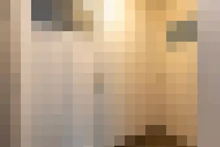 Vrijheidslaan 3 Lopik thumbnail 50