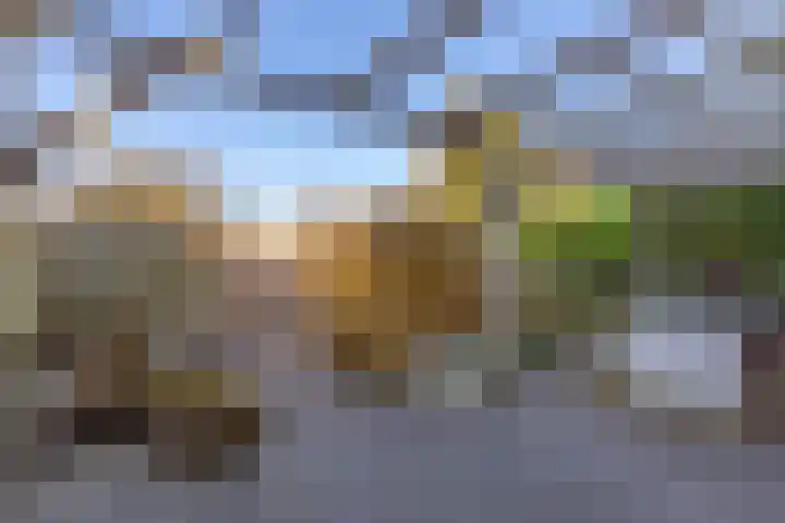 Vrijheidslaan 3 Lopik thumbnail 54