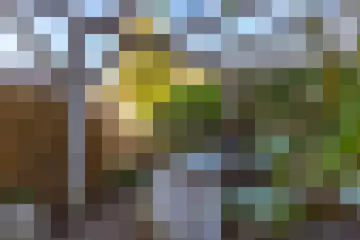 Vrijheidslaan 3 Lopik thumbnail 55