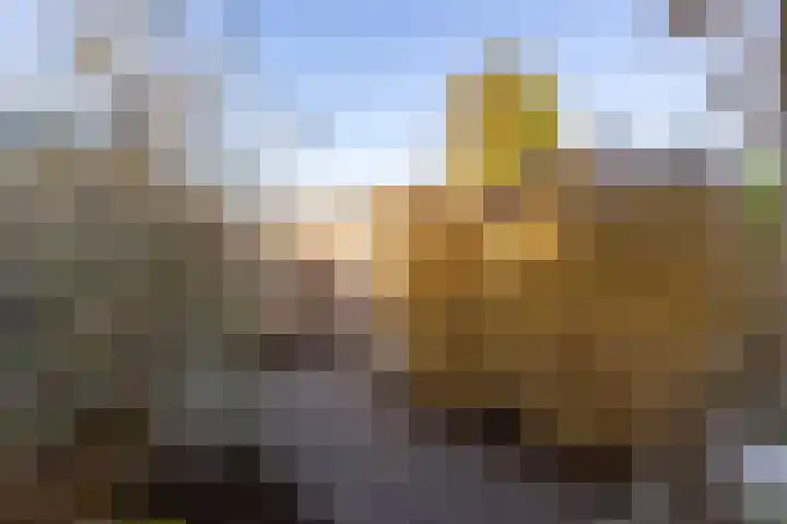 Vrijheidslaan 3 Lopik thumbnail 57