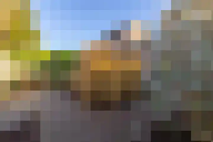 Vrijheidslaan 3 Lopik thumbnail 58