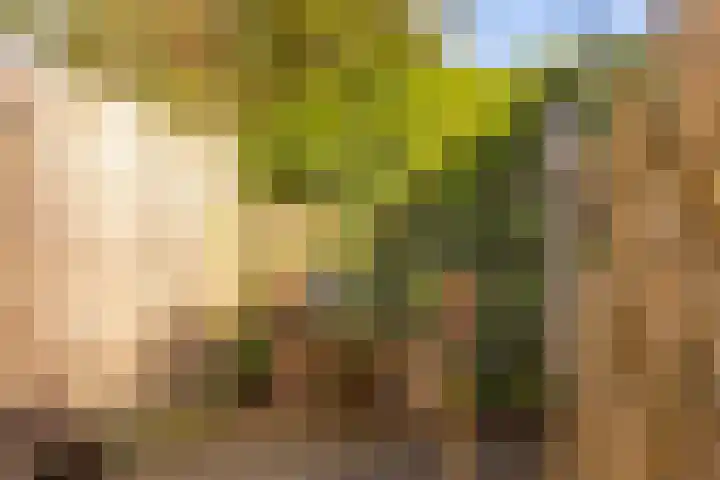 Vrijheidslaan 3 Lopik thumbnail 59