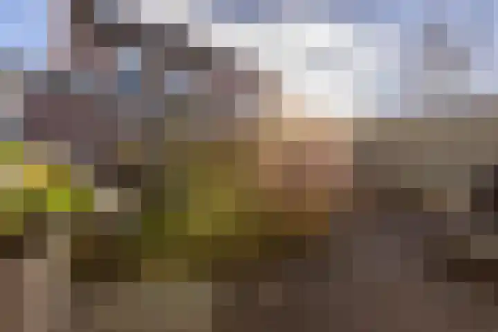 Vrijheidslaan 3 Lopik thumbnail 60