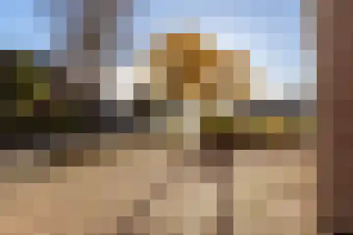 Vrijheidslaan 3 Lopik thumbnail 64