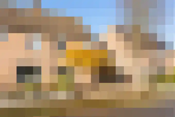 Vrijheidslaan 3 Lopik thumbnail 66
