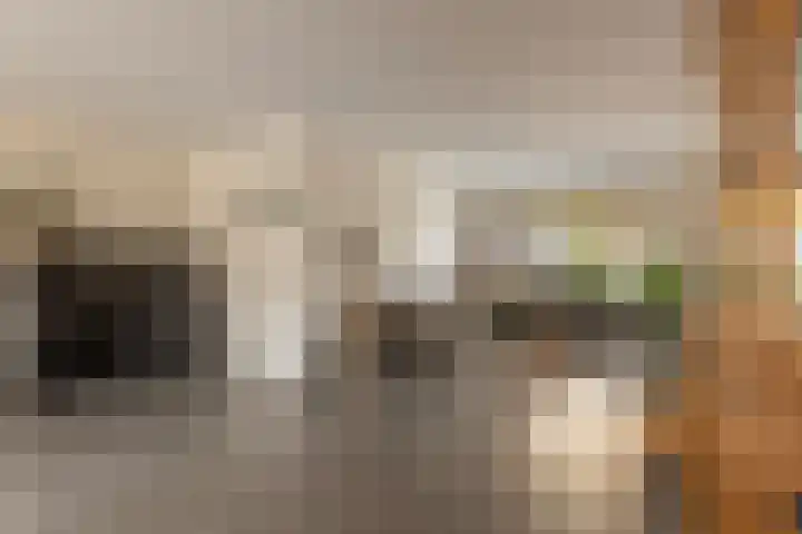 Vrijheidslaan 3 Lopik thumbnail 9
