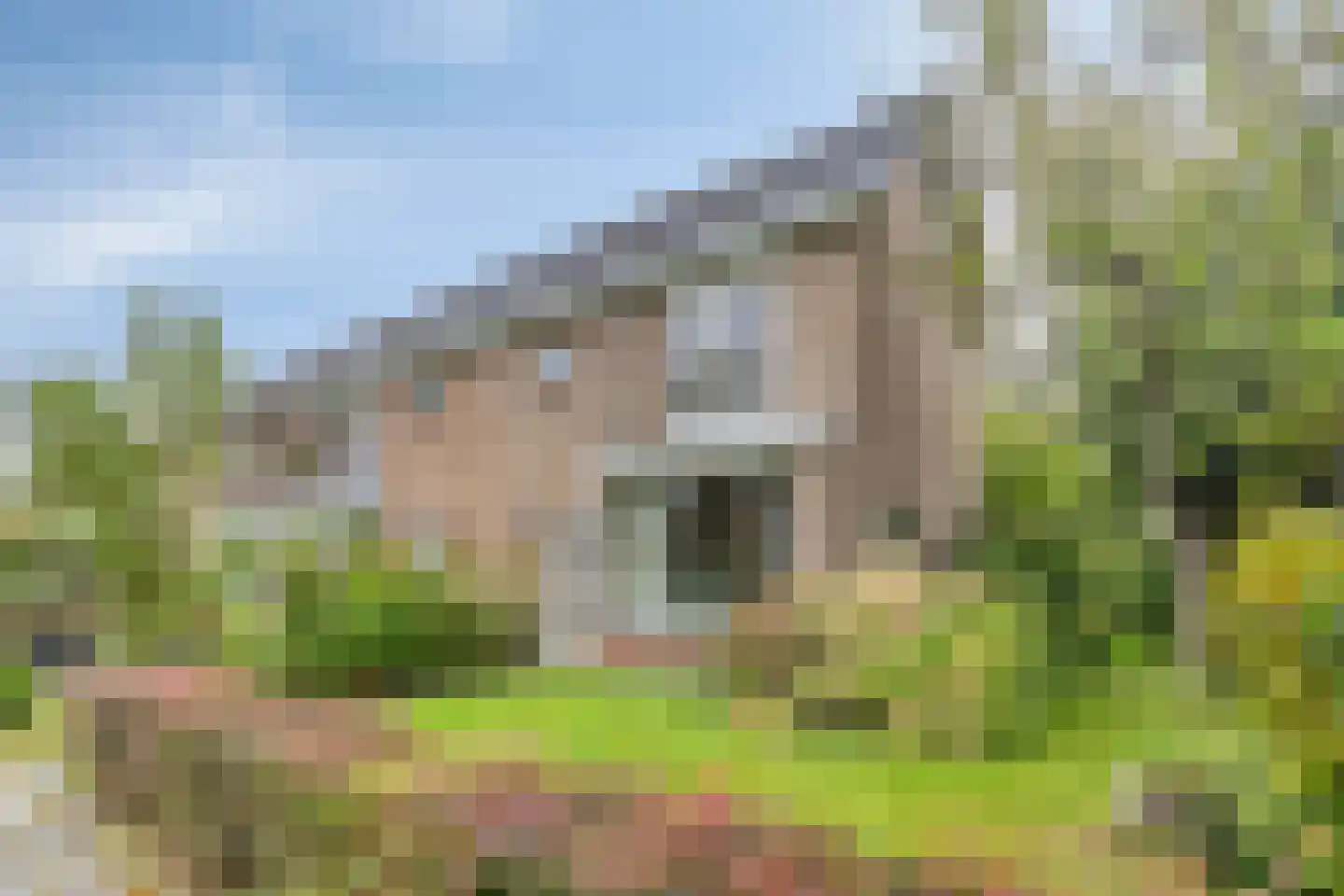 Vrijheidslaan 32 A in Roden
