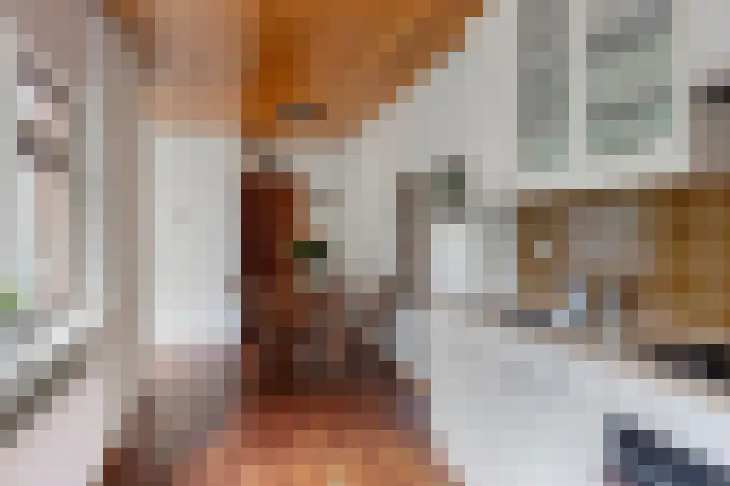 Vrijheidslaan 32 A Roden thumbnail 14