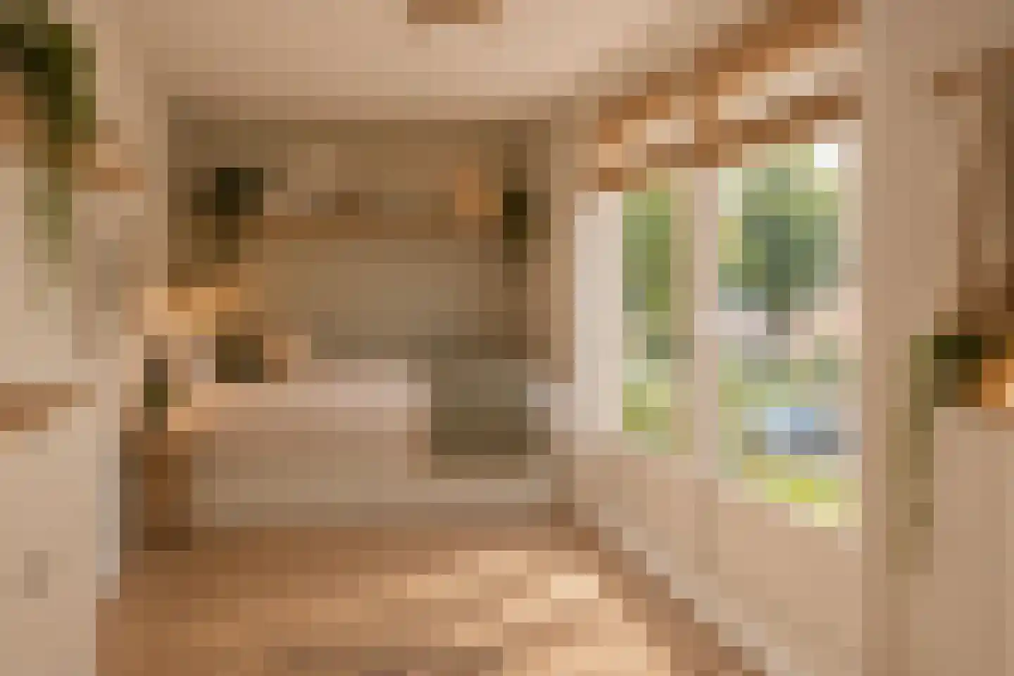 Vrijheidslaan 32 A Roden thumbnail 18