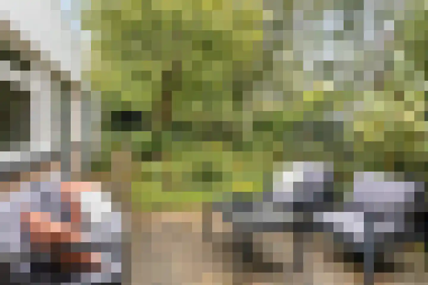 Vrijheidslaan 32 A Roden thumbnail 24