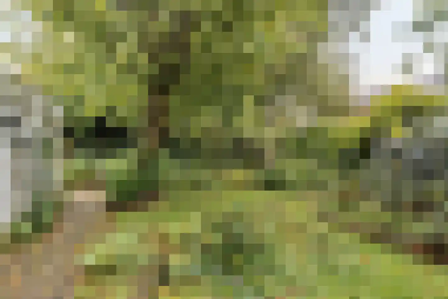 Vrijheidslaan 32 A Roden thumbnail 25