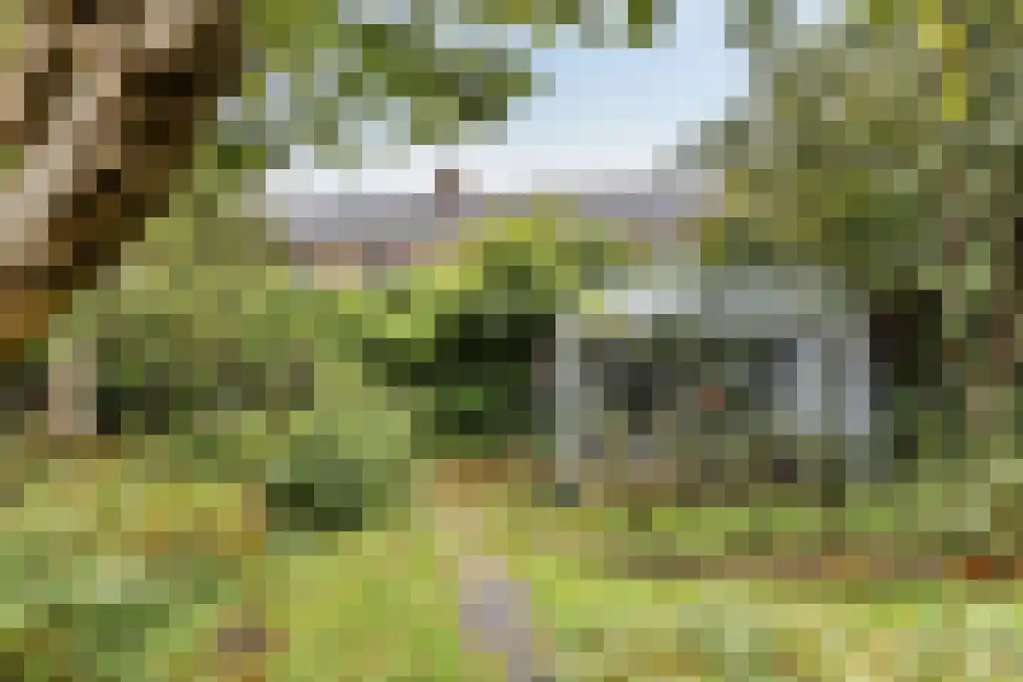 Vrijheidslaan 32 A Roden thumbnail 26