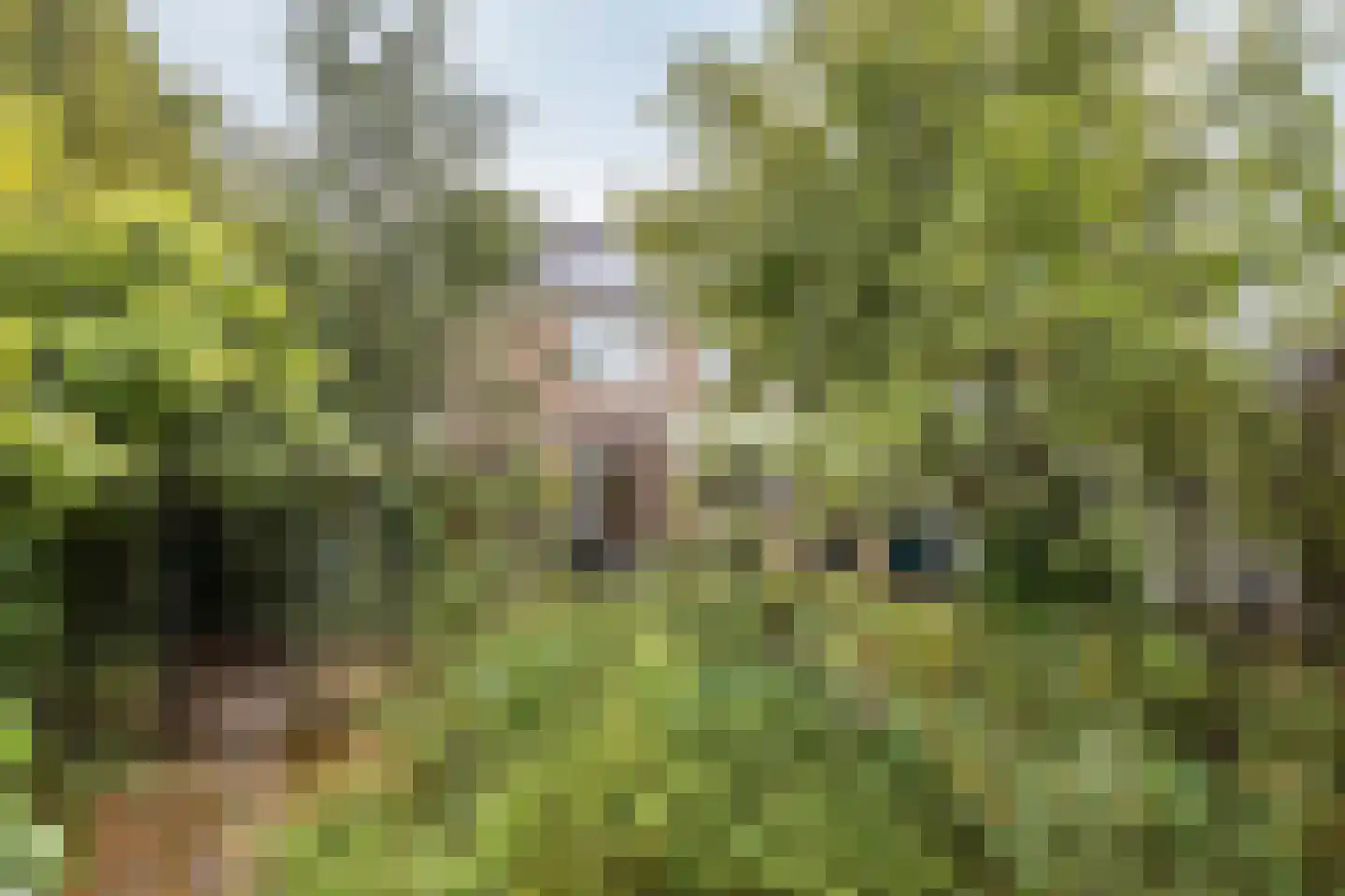 Vrijheidslaan 32 A Roden thumbnail 30