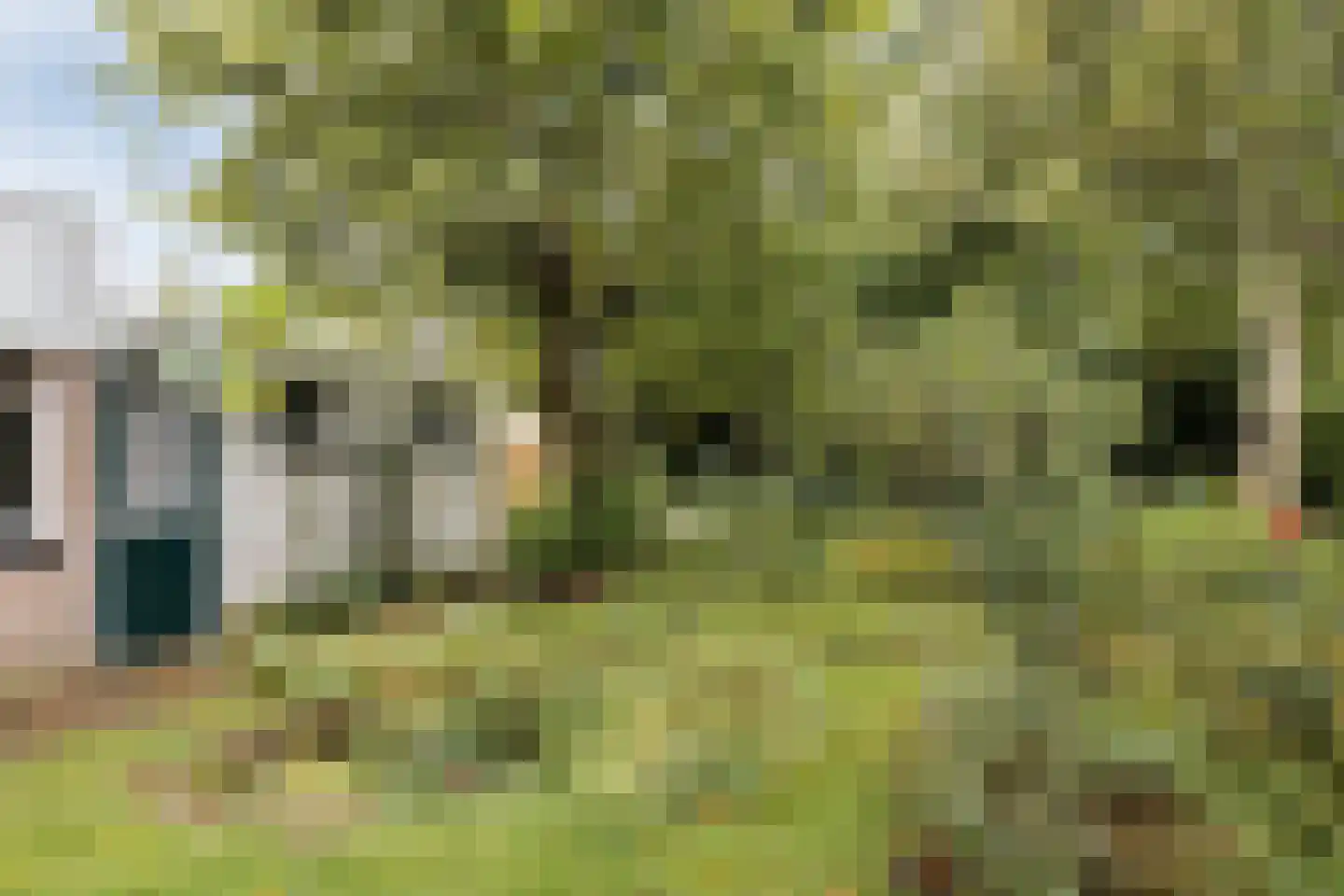 Vrijheidslaan 32 A Roden thumbnail 32