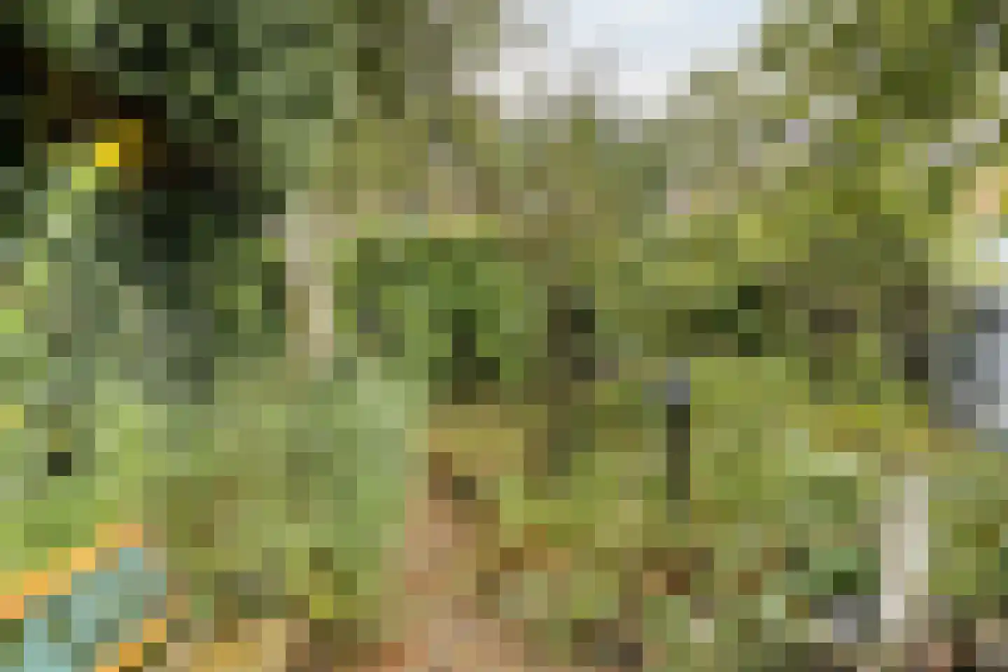 Vrijheidslaan 32 A Roden thumbnail 34
