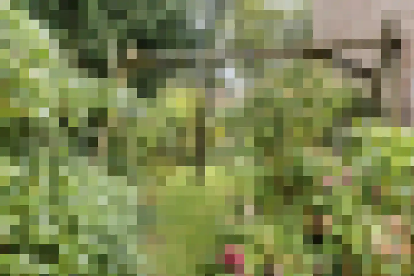 Vrijheidslaan 32 A Roden thumbnail 35