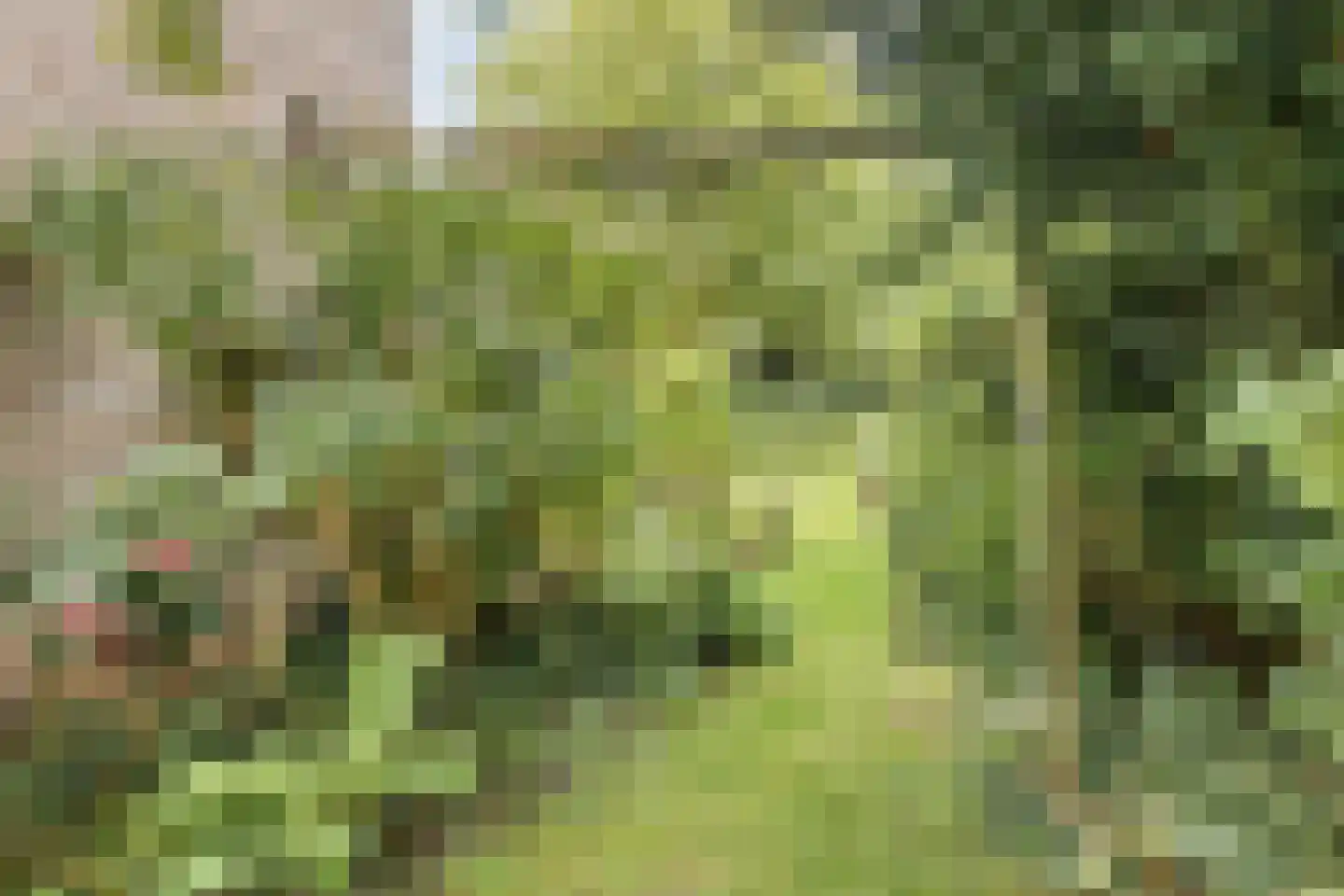 Vrijheidslaan 32 A Roden thumbnail 36