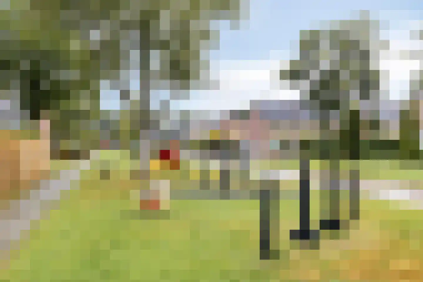 Vrijheidslaan 32 A Roden thumbnail 39