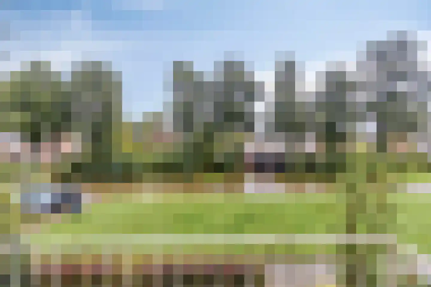 Vrijheidslaan 32 A Roden thumbnail 4