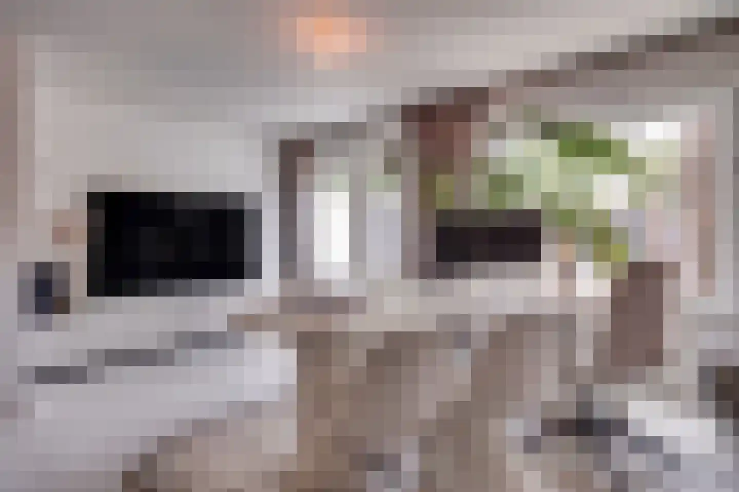 Vrijheidslaan 36 Breukelen thumbnail 11