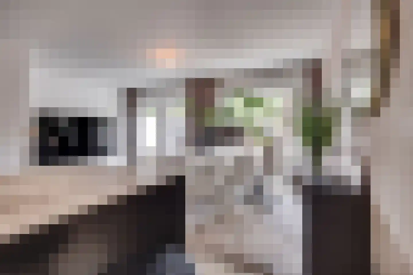 Vrijheidslaan 36 Breukelen thumbnail 14