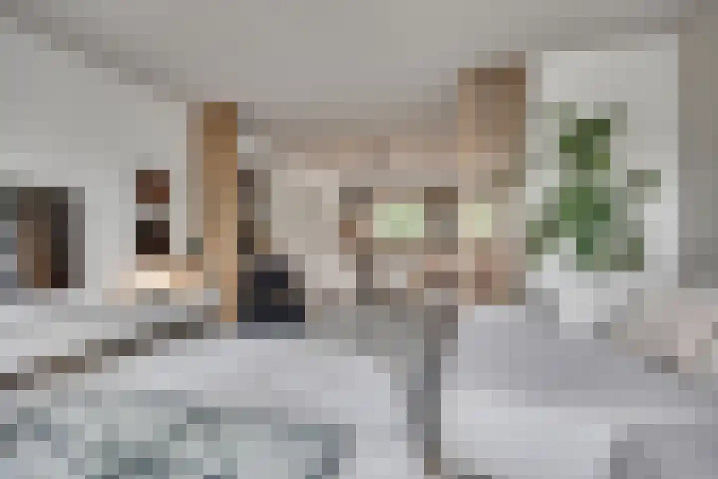Vrijheidslaan 36 Breukelen thumbnail 25