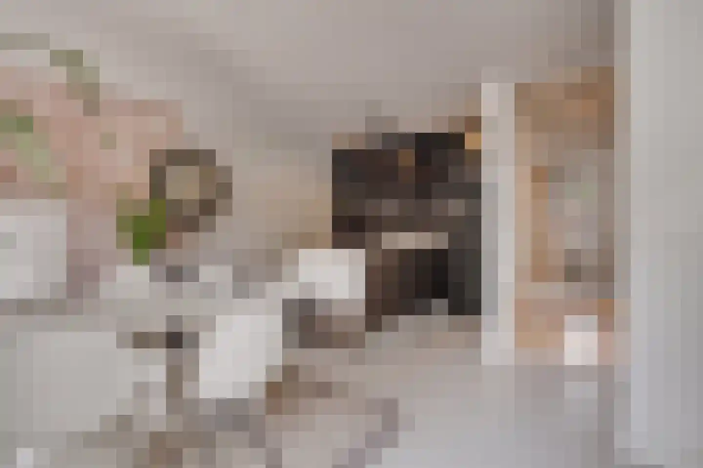 Vrijheidslaan 36 Breukelen thumbnail 7