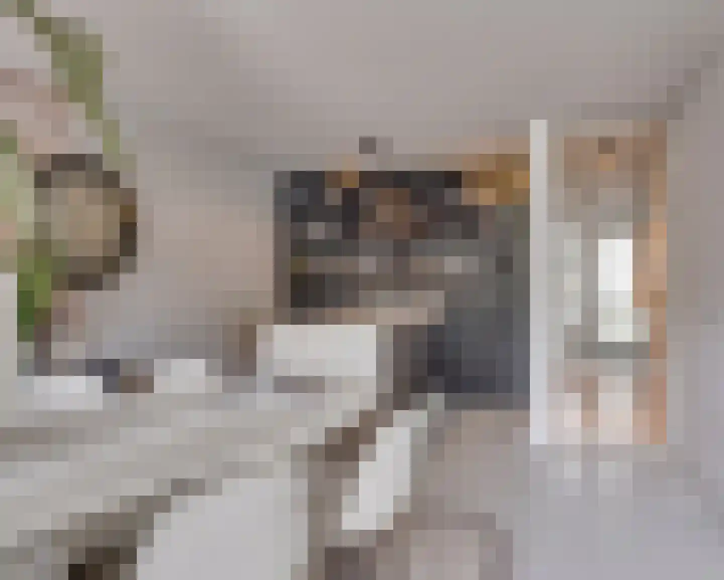 Vrijheidslaan 36 Breukelen thumbnail 8