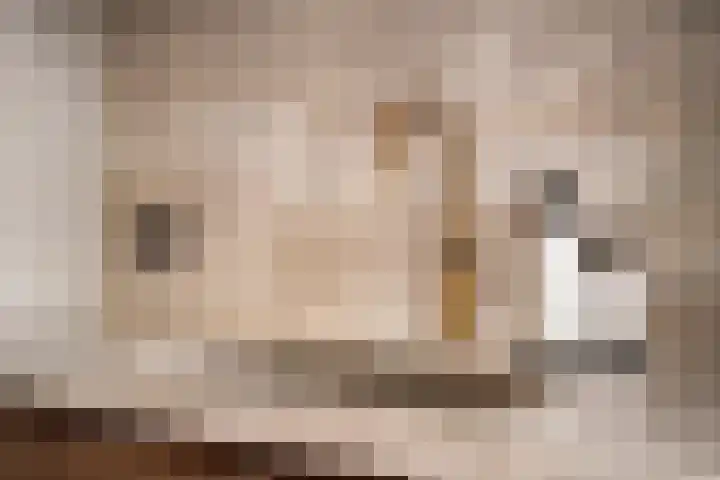 Vrijheidslaan 37 H Amsterdam thumbnail 14