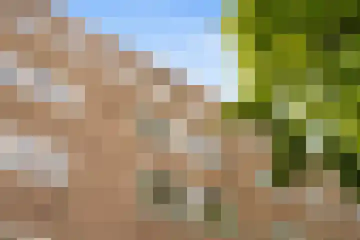 Vrijheidslaan 37 H Amsterdam thumbnail 4