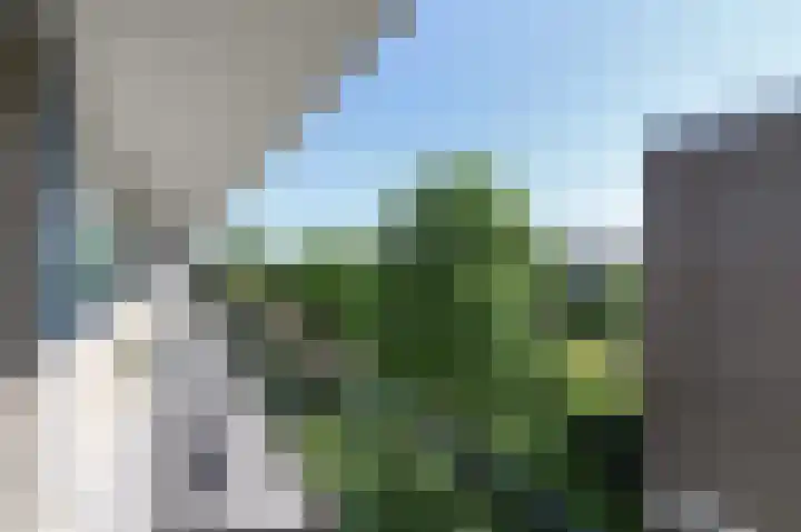 Vrijheidslaan 38 Gouda thumbnail 25