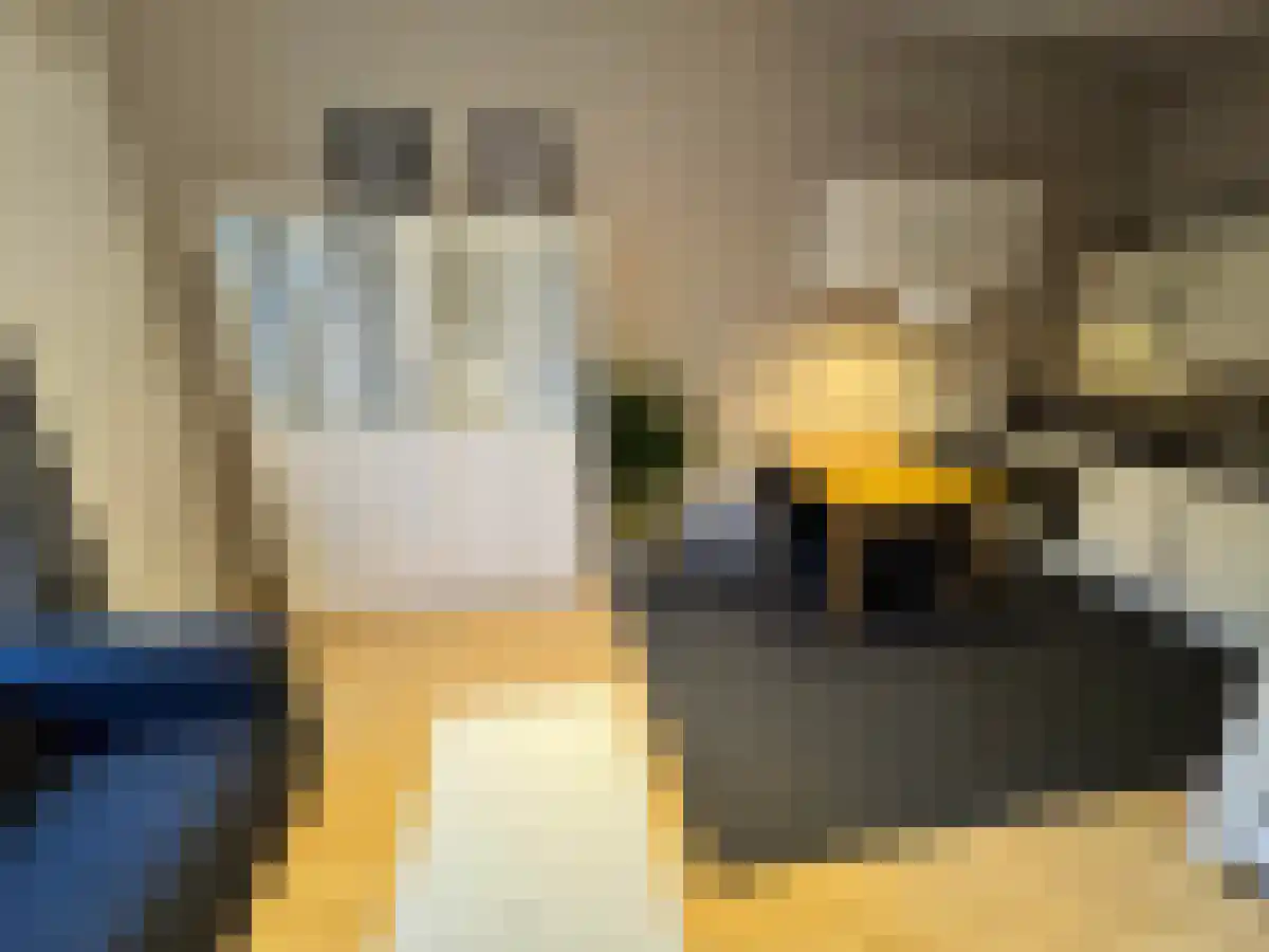 Vrijheidslaan 4 Amsterdam thumbnail 6