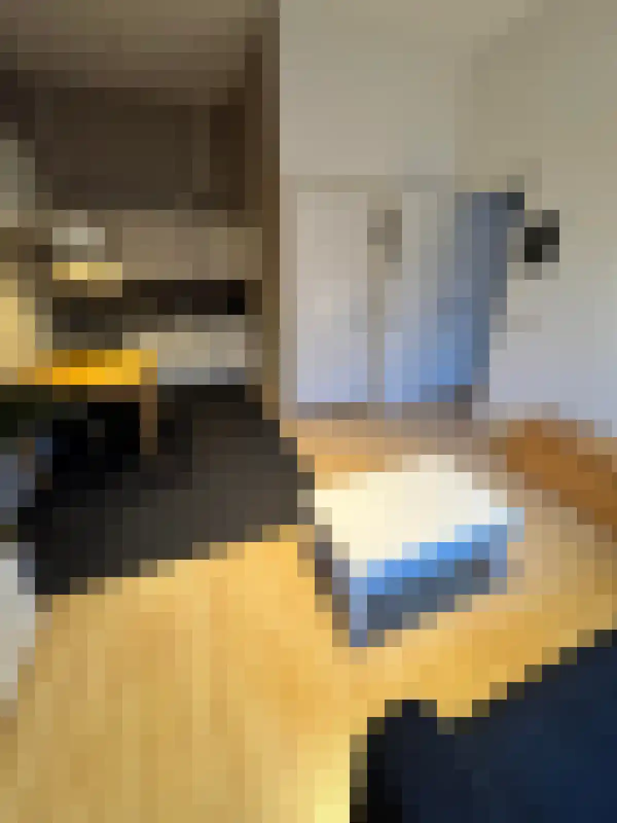 Vrijheidslaan 4 Amsterdam thumbnail 7