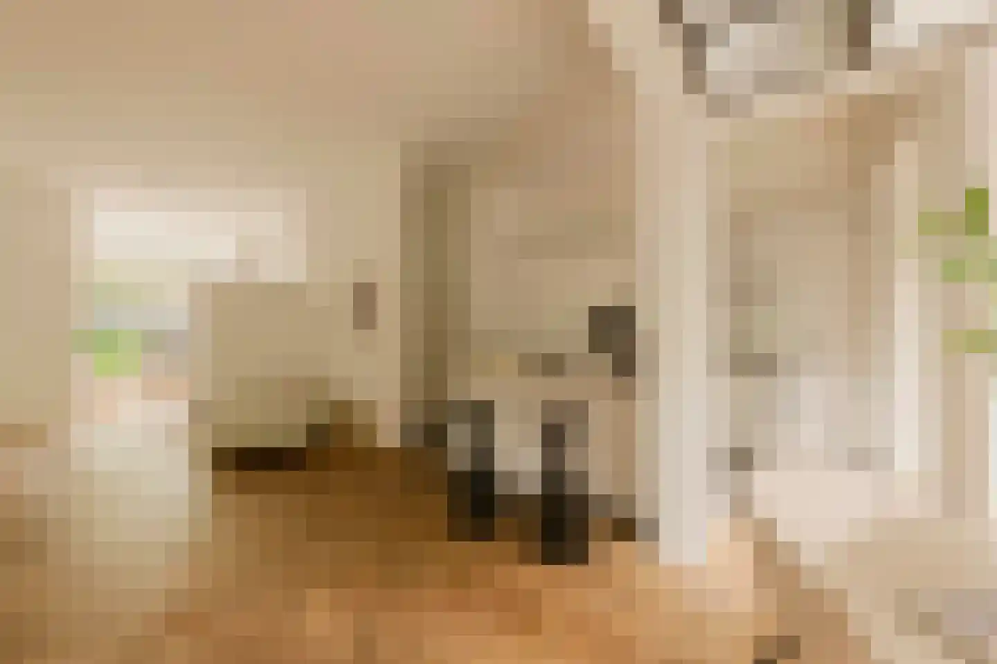 Vrijheidslaan 5 H Amsterdam thumbnail 17