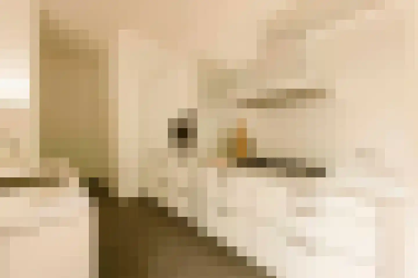 Vrijheidslaan 5 H Amsterdam thumbnail 19