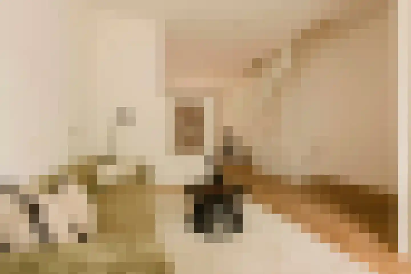 Vrijheidslaan 5 H Amsterdam thumbnail 25