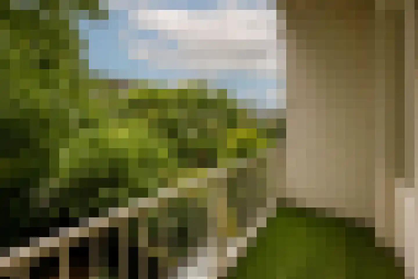 Vrijheidslaan 5 H Amsterdam thumbnail 30