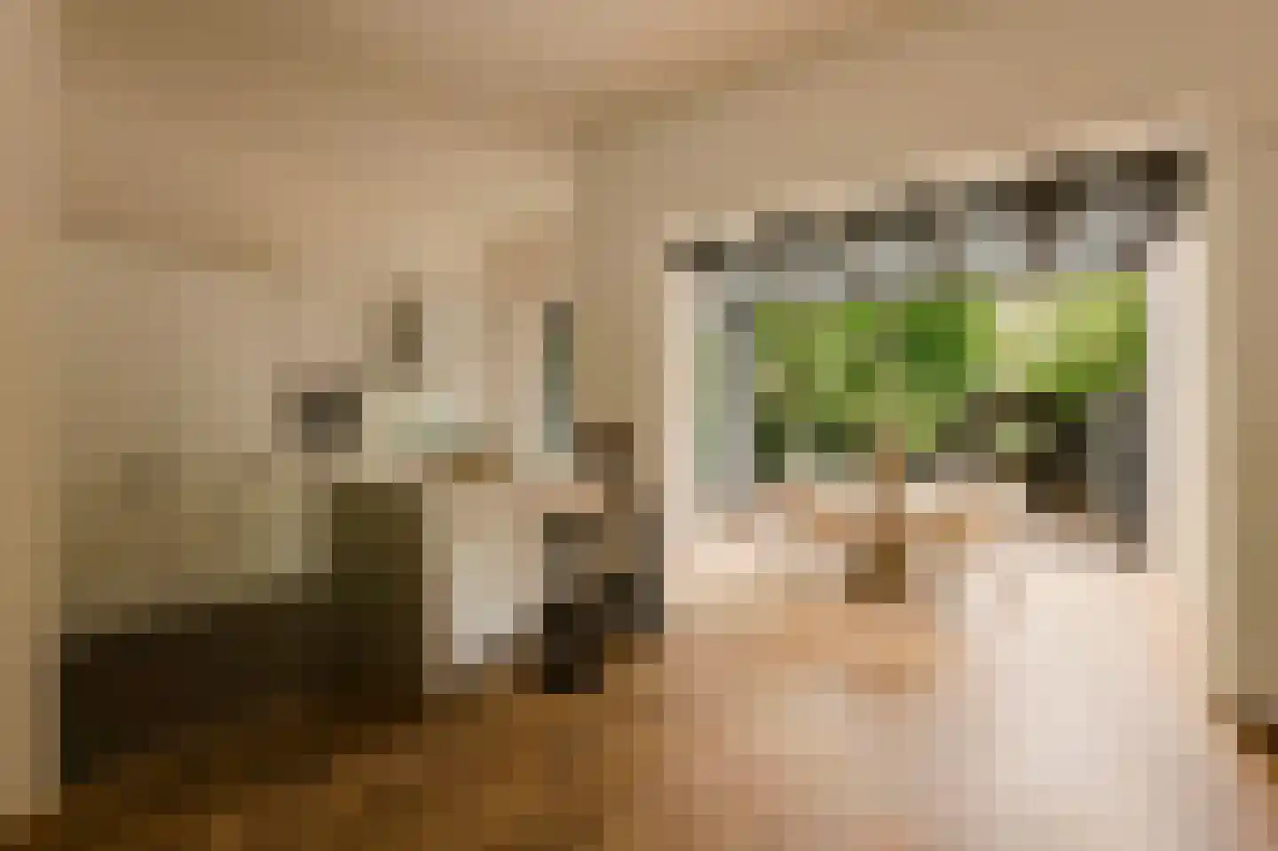 Vrijheidslaan 5 H Amsterdam thumbnail 6