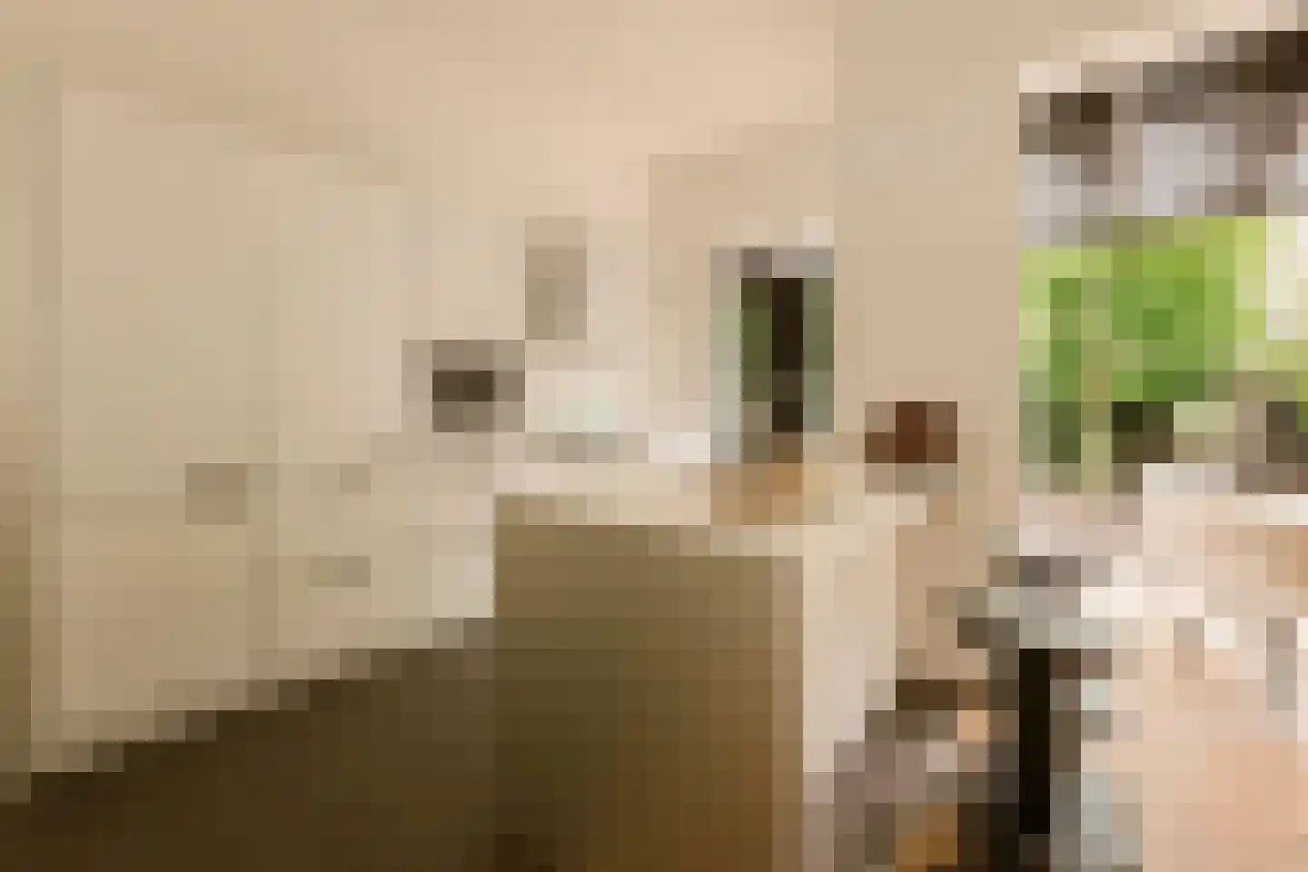 Vrijheidslaan 5 H Amsterdam thumbnail 8