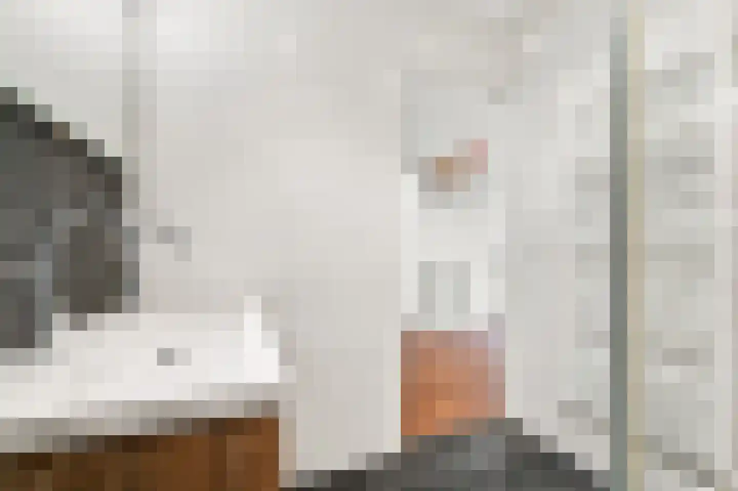 Vrijheidslaan 55 2 Amsterdam thumbnail 13