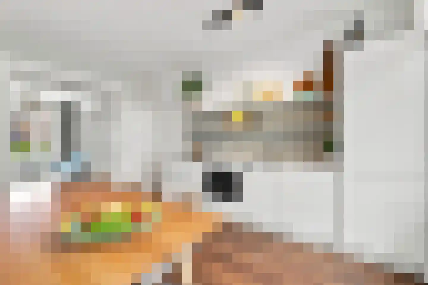 Vrijheidslaan 55 2 Amsterdam thumbnail 17