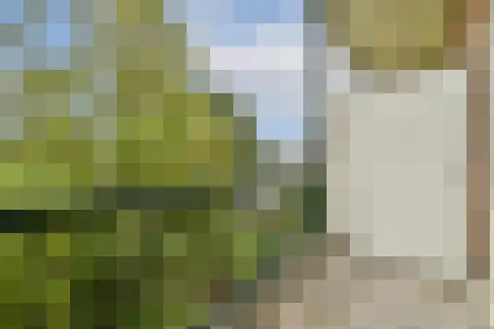 Vrijheidslaan 59 3 Amsterdam thumbnail 11