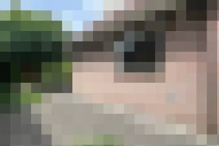 Vrijheidslaan 59 Lopik thumbnail 17