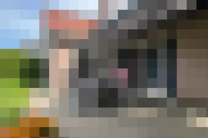Vrijheidslaan 59 Lopik thumbnail 21