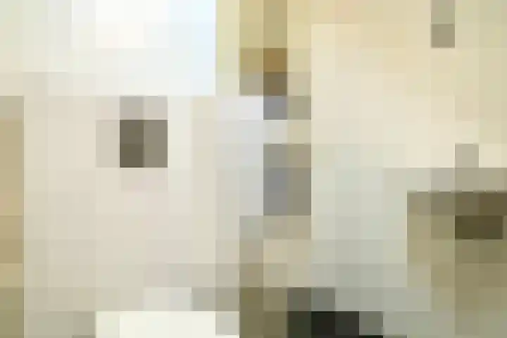 Vrijheidslaan 59 Lopik thumbnail 30
