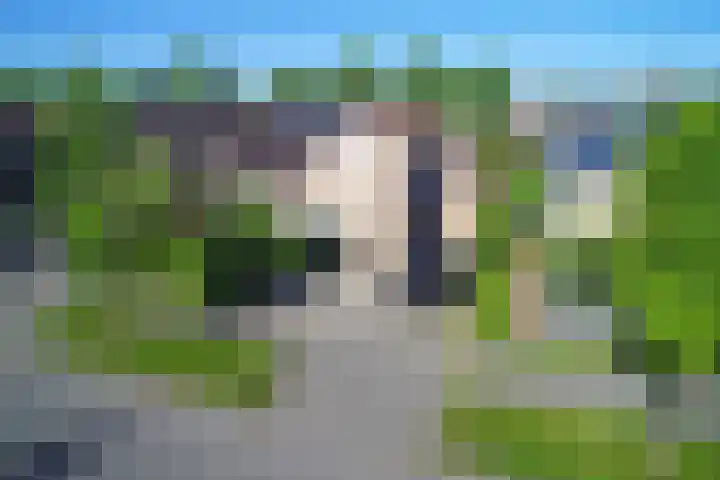Vrijheidslaan 59 Lopik thumbnail 31