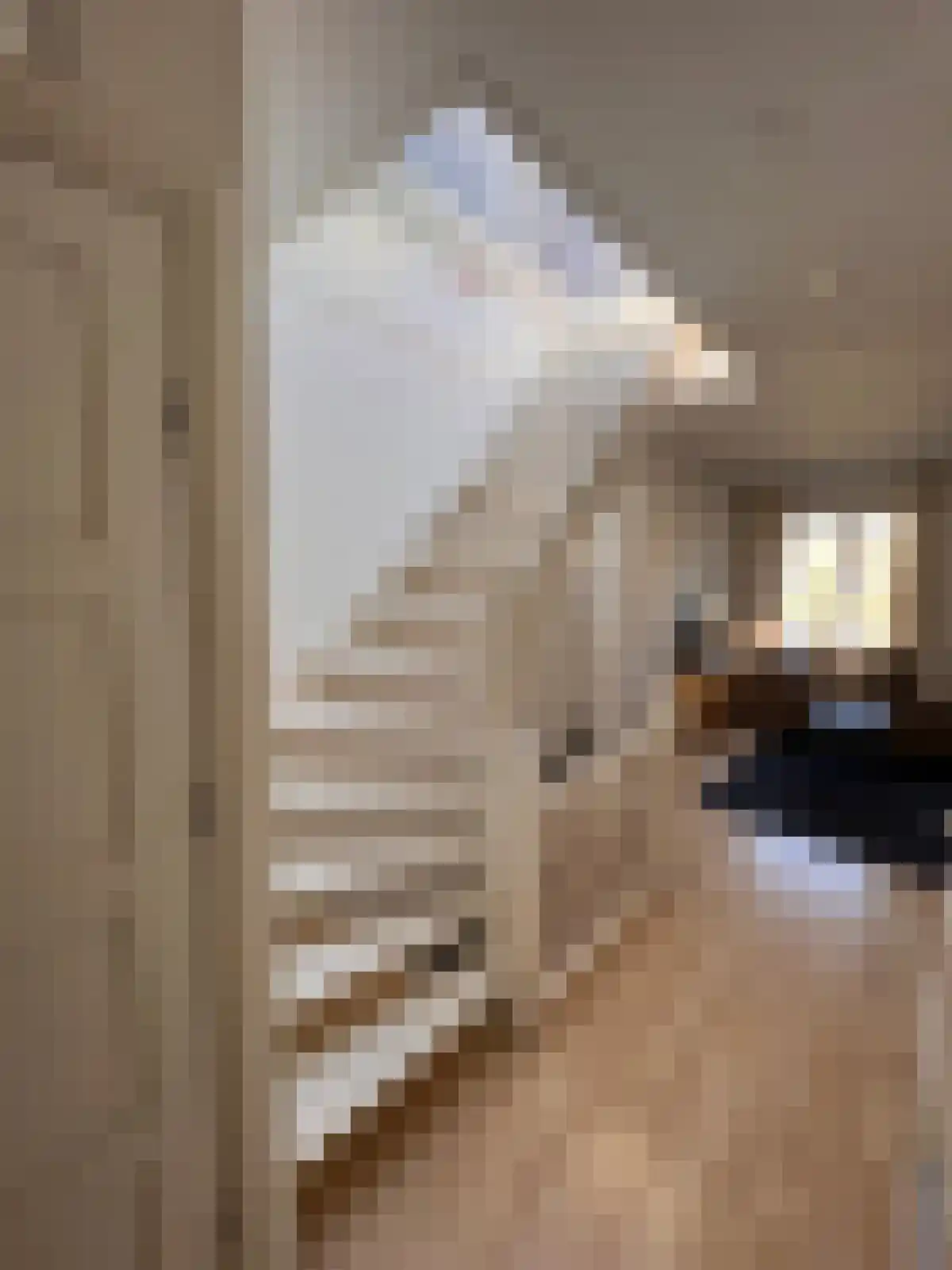 Vrijheidslaan 6 Amsterdam thumbnail 5