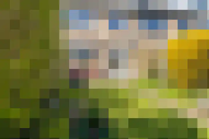 Vrijheidslaan 68 Breukelen thumbnail 30