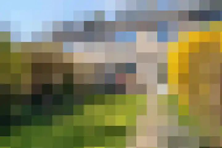 Vrijheidslaan 68 Breukelen thumbnail 31